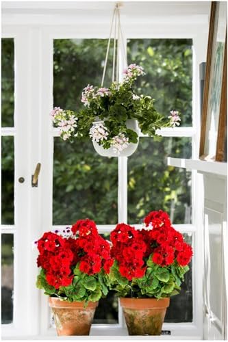 Artificial Geranium Silk Flower Bush Red 19 Inches Set of 2