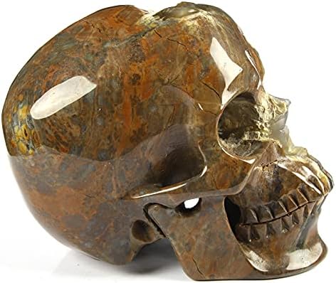 Skullis 50 Crystal Dinosaur Egg Agate Skull