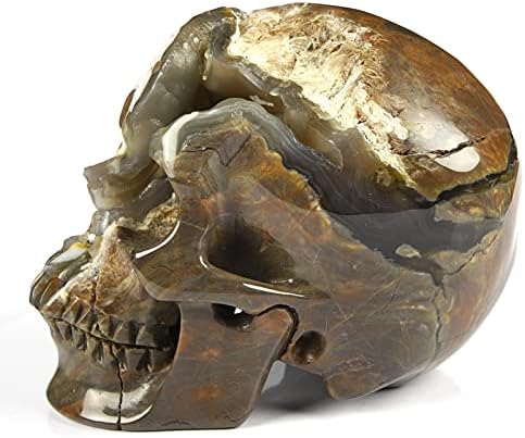 Skullis 50 Crystal Dinosaur Egg Agate Skull