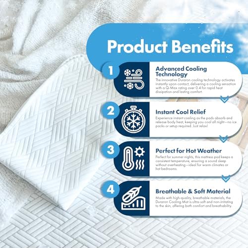 GML Summer Cool Ice Pillow Protector Set of 2
