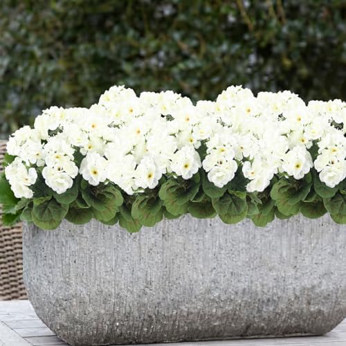 3 Pcs Artificial White Geranium Bushes for Garden Decor