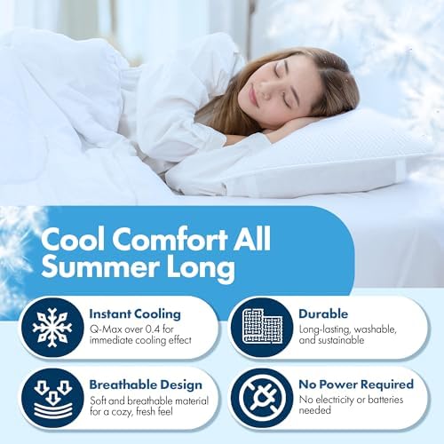 GML Summer Cool Ice Pillow Protector Set of 2