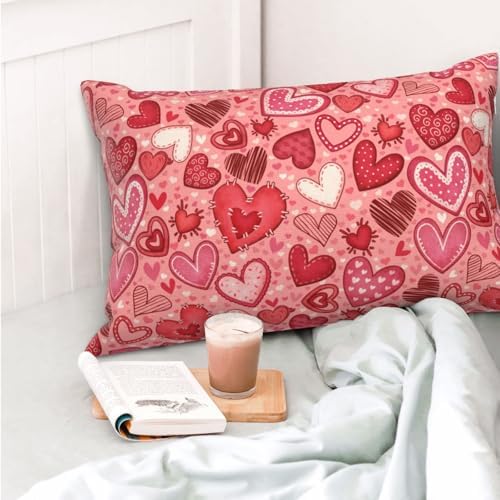 Valentines Pillow Case 20x30 Inches Soft Zipper Cover