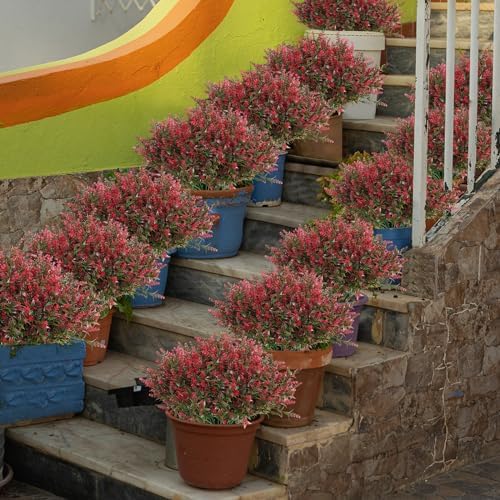 JIFTOK 12 Pcs Artificial Lavender Flowers for Home Decor