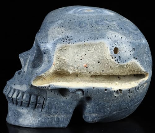 Skullis Blue Sponge Coral Crystal Skull Statue