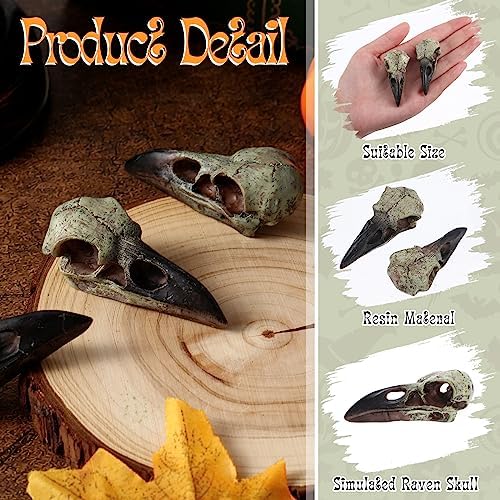 Geetery 8Pcs Halloween Raven Skull Wall Decor