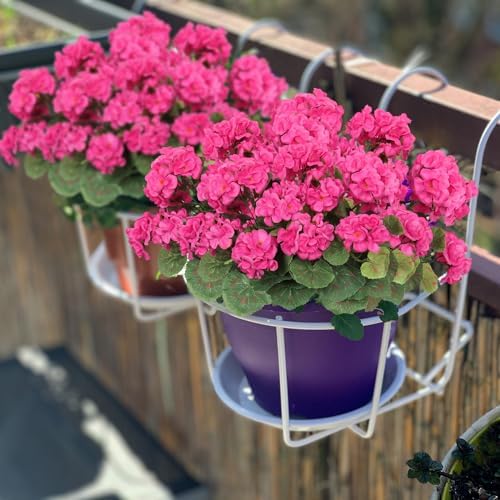 Dremisland 3 Pack Artificial Geranium Flowers