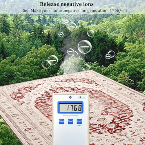 Graphene Heated Rug with 12-Hour Timer and Detachable Design