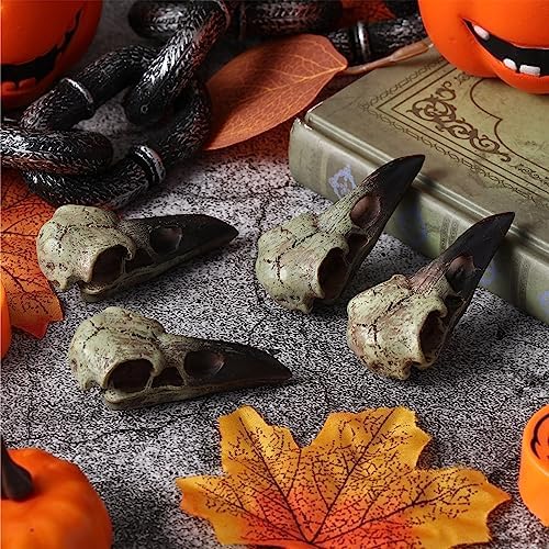 Geetery 8Pcs Halloween Raven Skull Wall Decor
