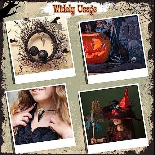 Geetery 8Pcs Halloween Raven Skull Wall Decor